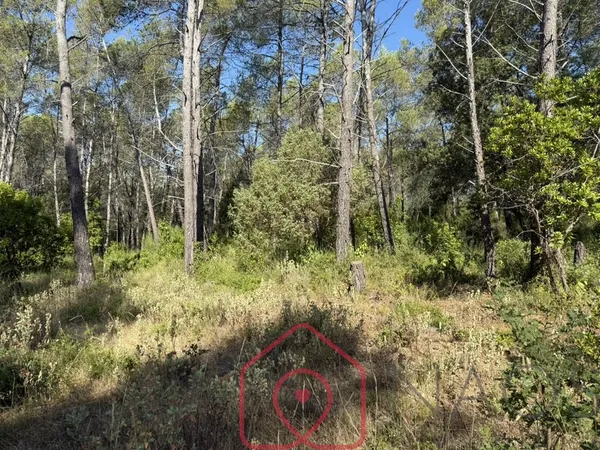 Terrain en individuel 1200 m² 