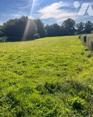 Terrain 7970 m² 