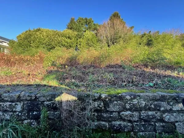 Terrain à bâtir 