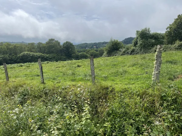 Razès terrain constructible 15 000 m2 
