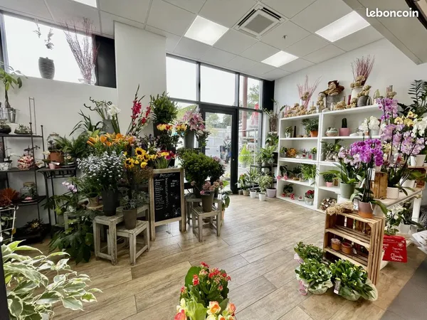 Fond de commerce 35 m² Vaison-la-Romaine 