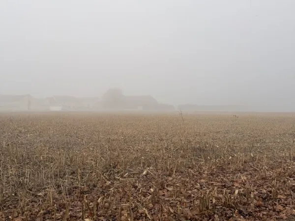Terrain à bâtir de 766 m² à AVRAINVILLE (91) 