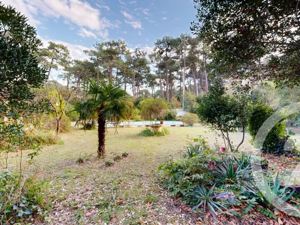 Terrain 964 m² 