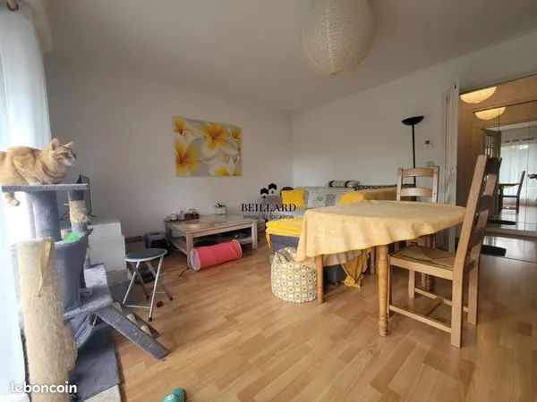 Appartement 3 pièces 64 m² 