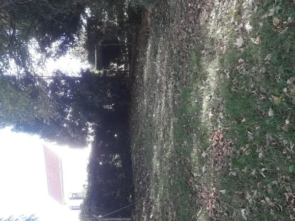 Terrain Centre-Ville "PAP" 