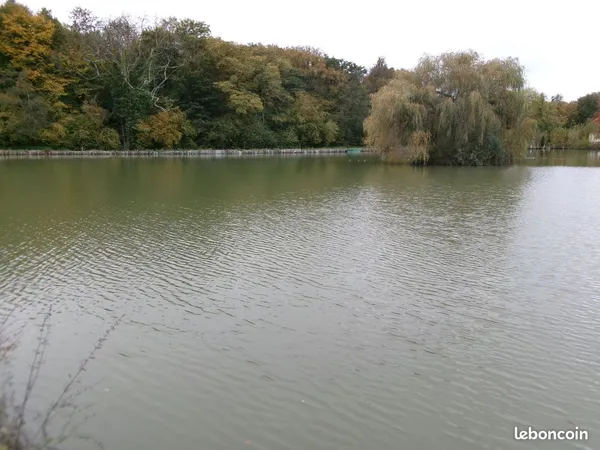 Vends Etang Avec Terrain 