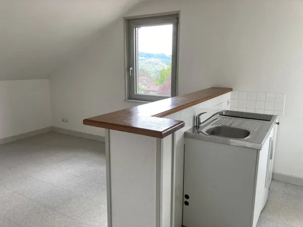 Appartement 1 pièce 20 m² 