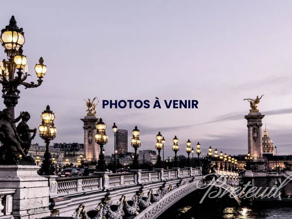 Immeuble Vente Paris 15e Arrondissement   33000€