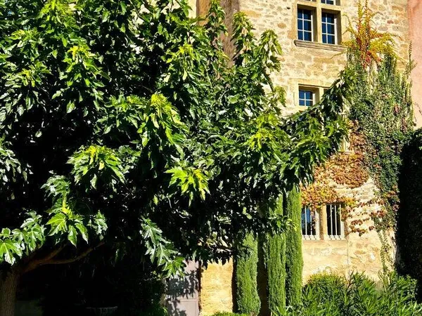 Maison 11 pièces 375 m² 