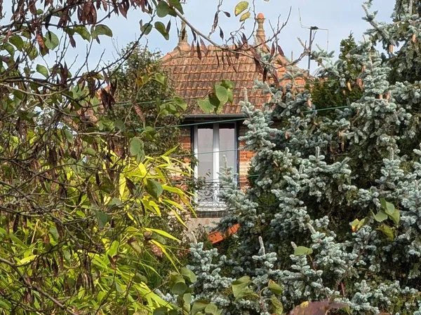 Maison 2 pièces 20 m² 