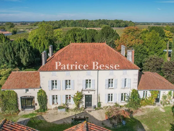 Maison 12 pièces 880 m² 