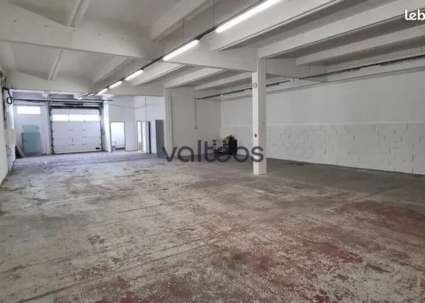 Local d'activité 230 m² 