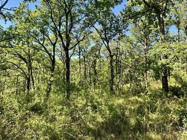 Terrain constructible 2400 m² 