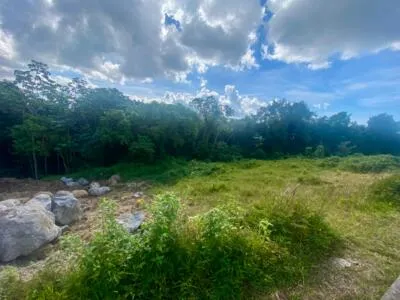 Terrain àbâtir - Terreville 