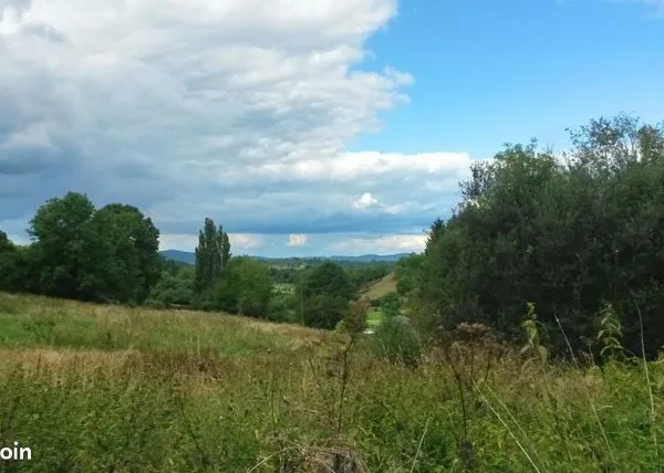 Terrain 2319 m² 