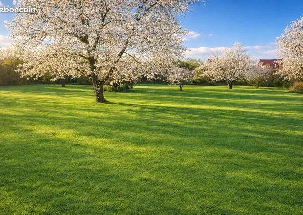 Terrain 3197 m² Pagny-le-Château 