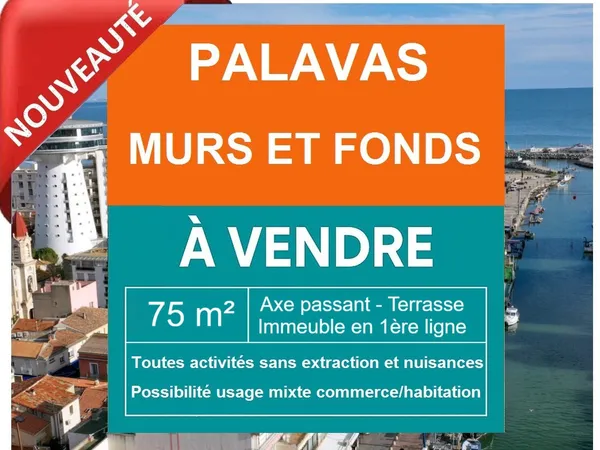 AXE PASSANT- IMMEUBLE EN 1ERE LIGNE - MURS ET FONDS COMMERCE 