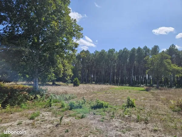 Terrain 1 600 m² Uzeste 
