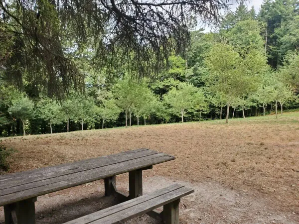 Appartement 3 pièces 78 m² 