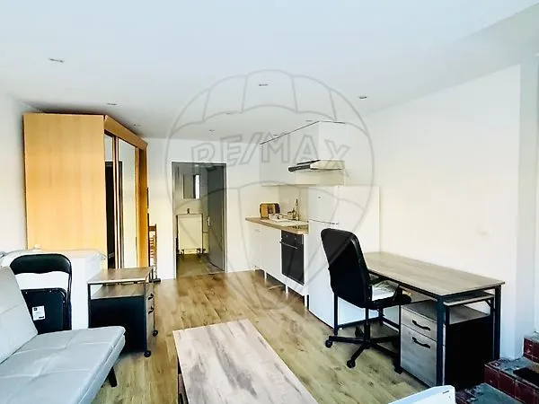 Appartement 1 pièce 20 m² 