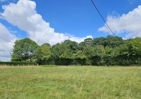 Terrain 1321 m² 