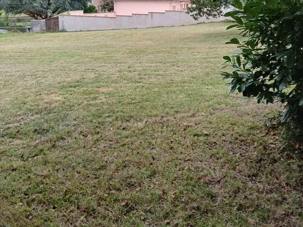 Terrain a bâtir 