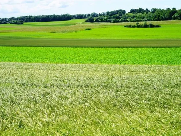 Propriété 