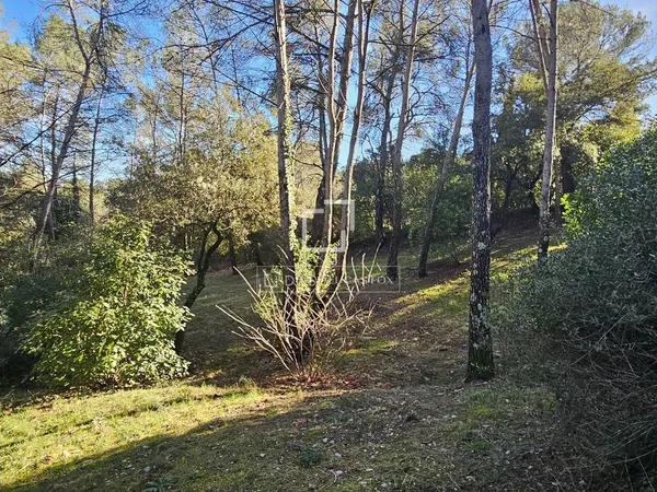 Terrain 2460 m² 