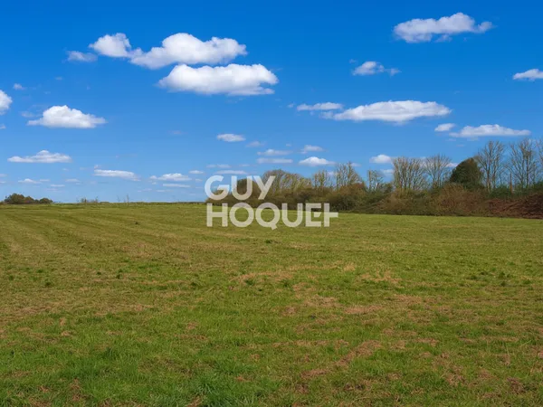 TERRAIN À VENDRE DE 774,00 M² 