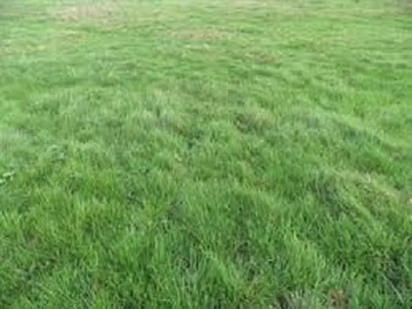 Terrain 413 m² 