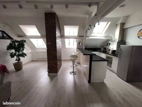 Meublé plein centre 65 m2 Atypique et lumineux Saint-quentin 