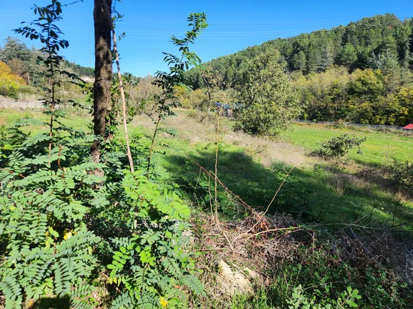 Grands terrains constructibles - pleine nature - viabilisés 