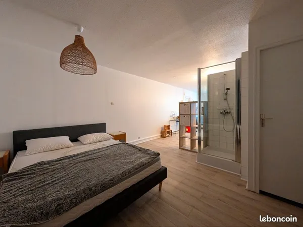 Studio meublé 38 m². Rue François de Neufchâteau 