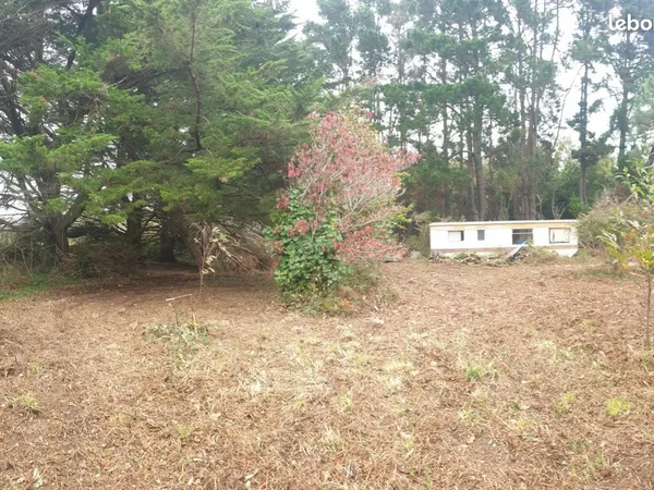À vendre 2 terrains 