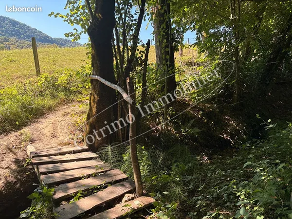 Terrain 59531 m² 