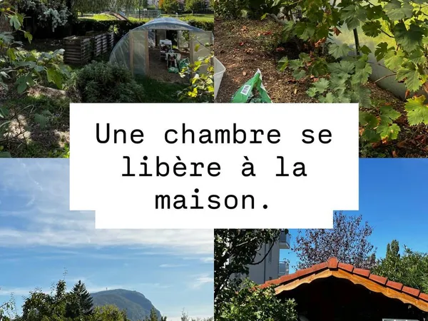 Loue chambre en colocation 