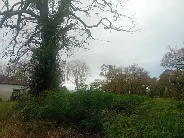 Terrain 380 m² 