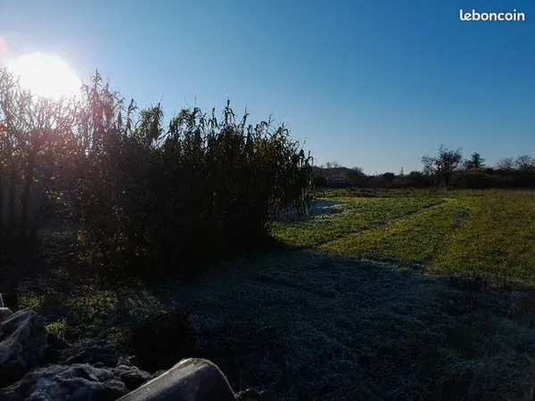 Terrain 555 m² 