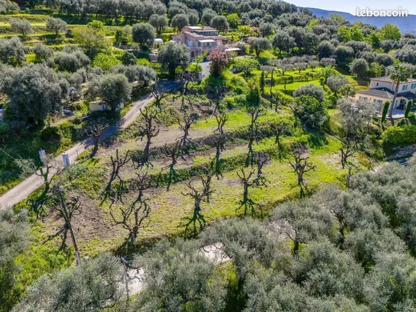 Terrain 2001 m² Contes 