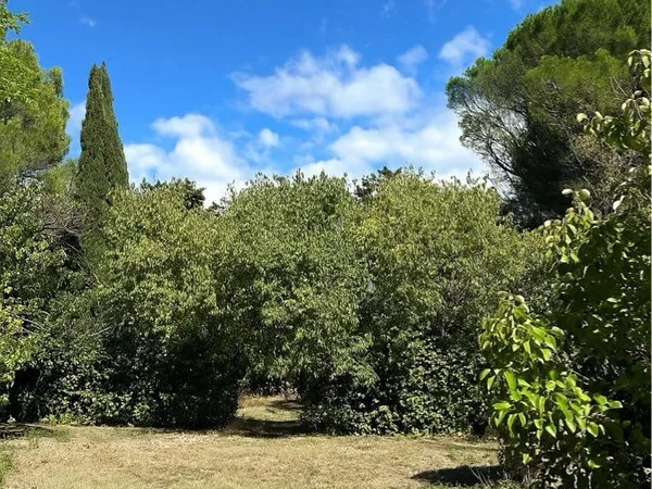 Terrains à bâtir - Castelnau-le-Lez 
