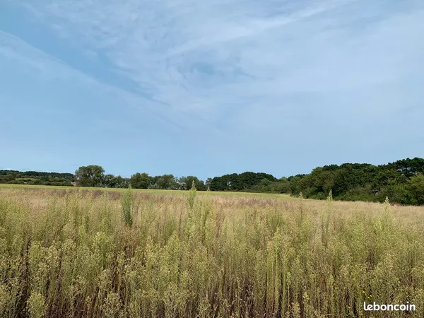 Terrain de 221 m² Givrand 