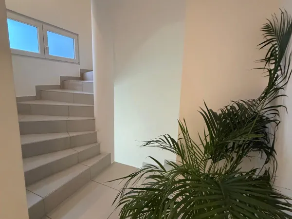 F5 duplex 3 chambres 2 terrasses parking 