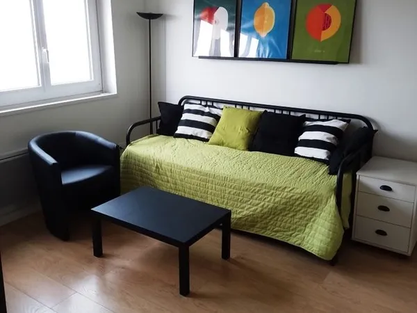 2 pieces - 30 m² - meuble 