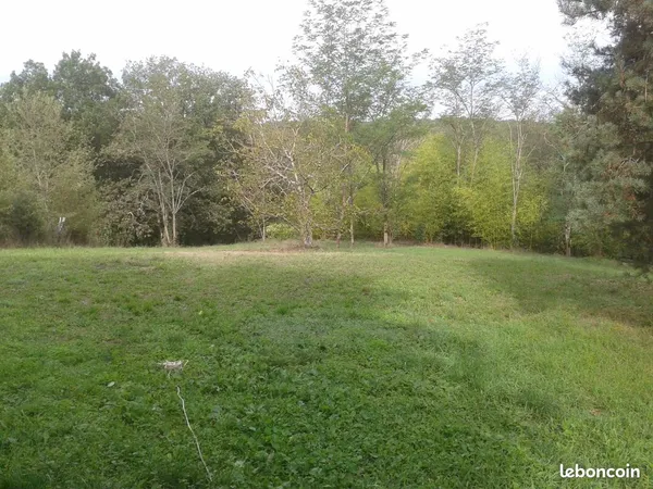 Maison + jardin + dependances + pre + bosquet dans un havre de paix verdoyant 