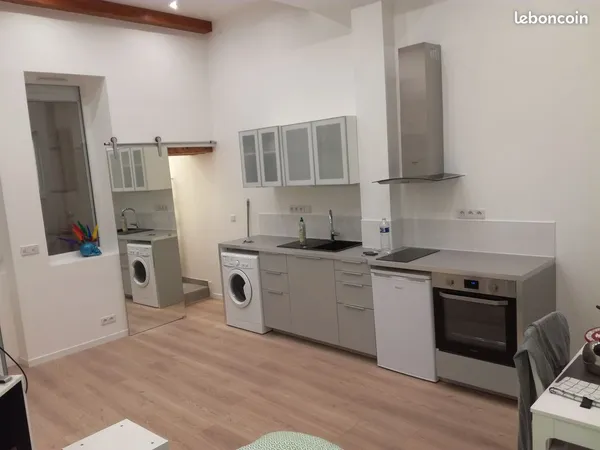 Grand Studio type loft meublé refait à neuf - 28m² - Hyper centre 