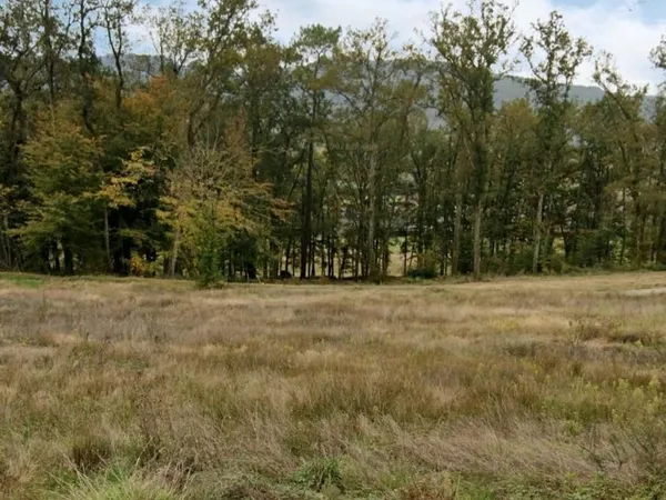 Terrain 1 500 m² Terrasson Lavilledieu 
