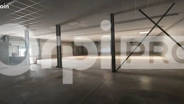 Local commercial 564 m² 