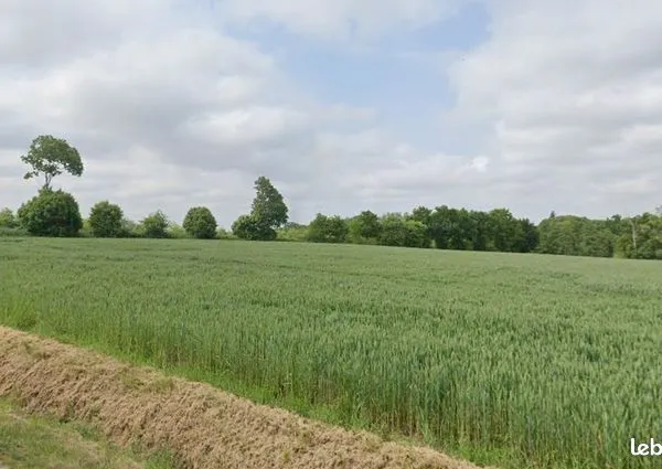 Terrain 310 m² 