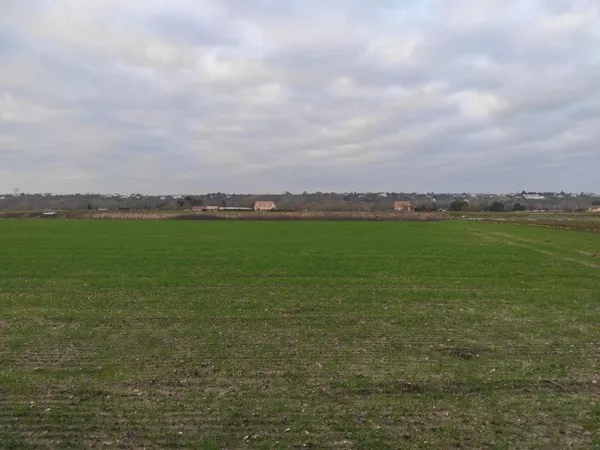 Terrain 604 m² 
