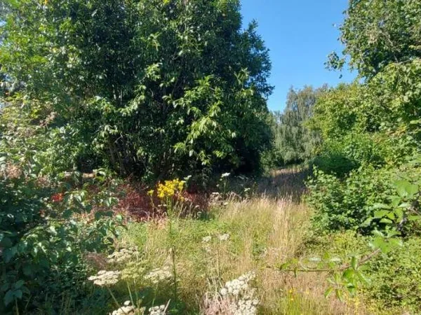 Terrain 3968 m² 
